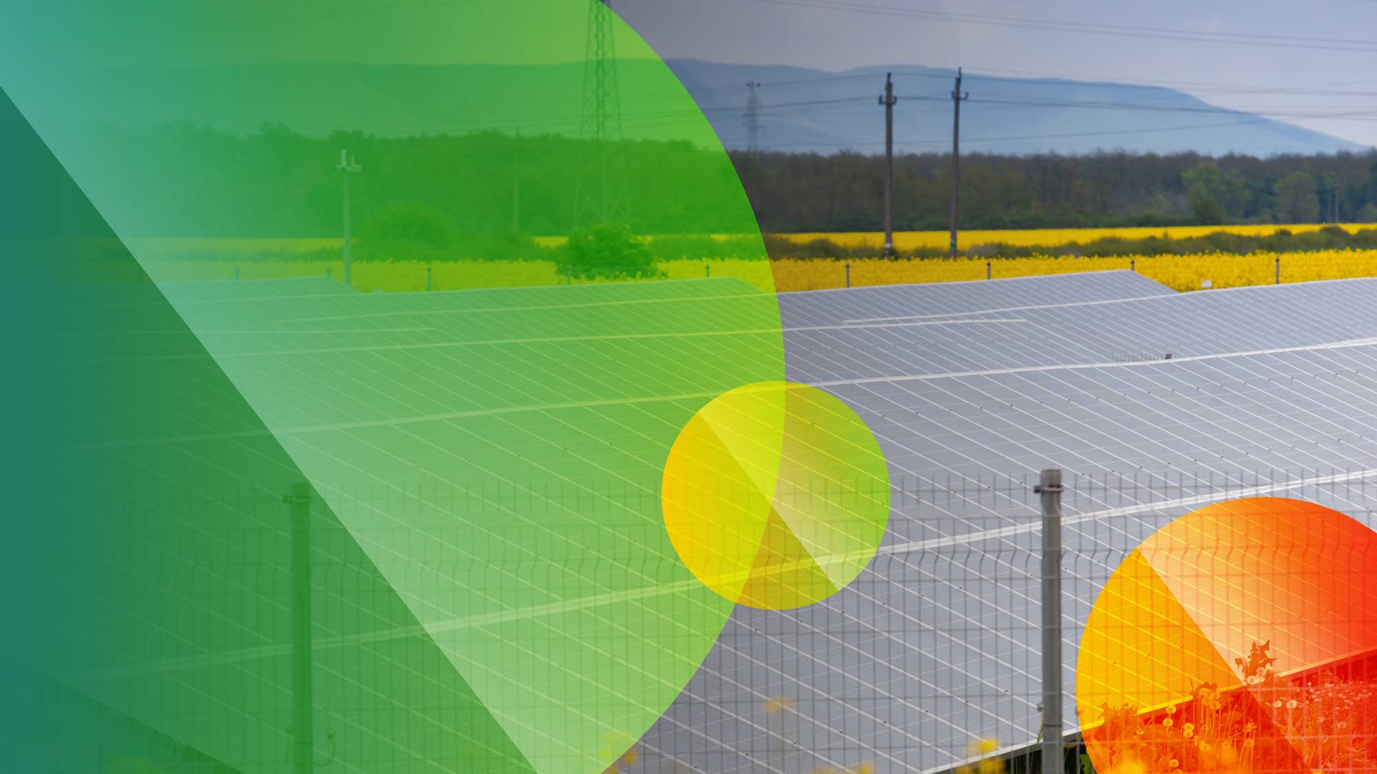 PV-Anlage in Rapsfeld