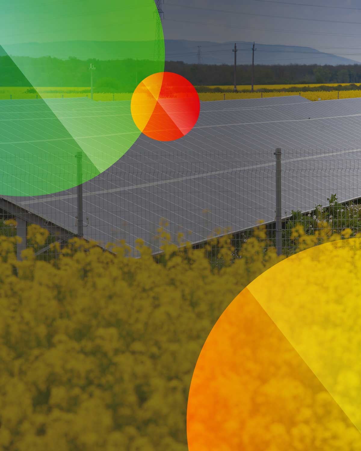 PV-Anlage in Rapsfeld